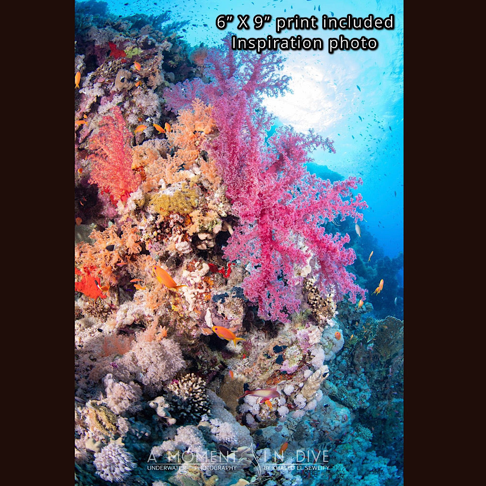 RESERVED/ Wall art 19” X 21” / Ocean serie / inspiration photos included