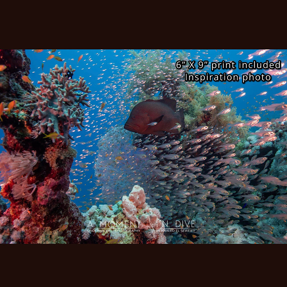 RESERVED/ Wall art 19” X 21” / Ocean serie / inspiration photos included