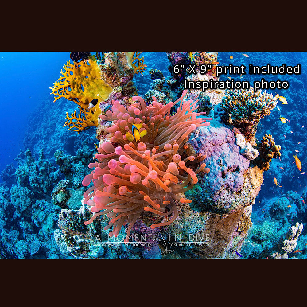 RESERVED/ Wall art 19” X 21” / Ocean serie / inspiration photos included