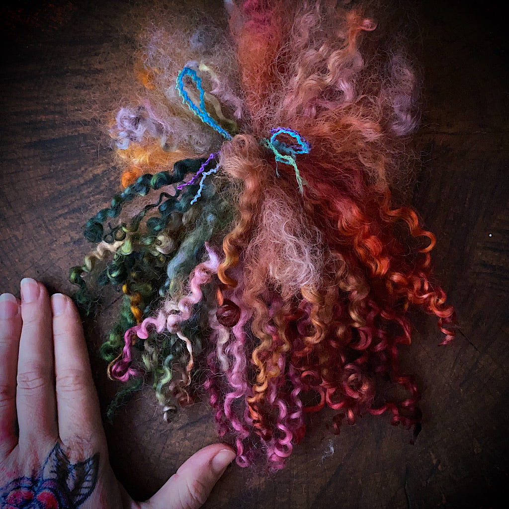 Wool locks for spinning and felting