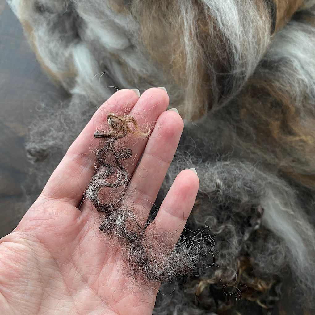 Spinning fiber kit natural colors