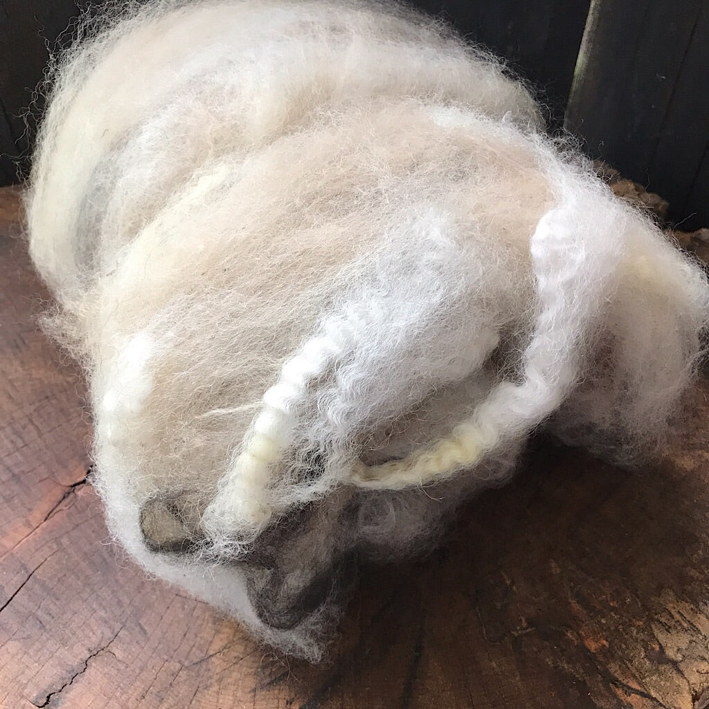 Alpaca wool batt for spinning
