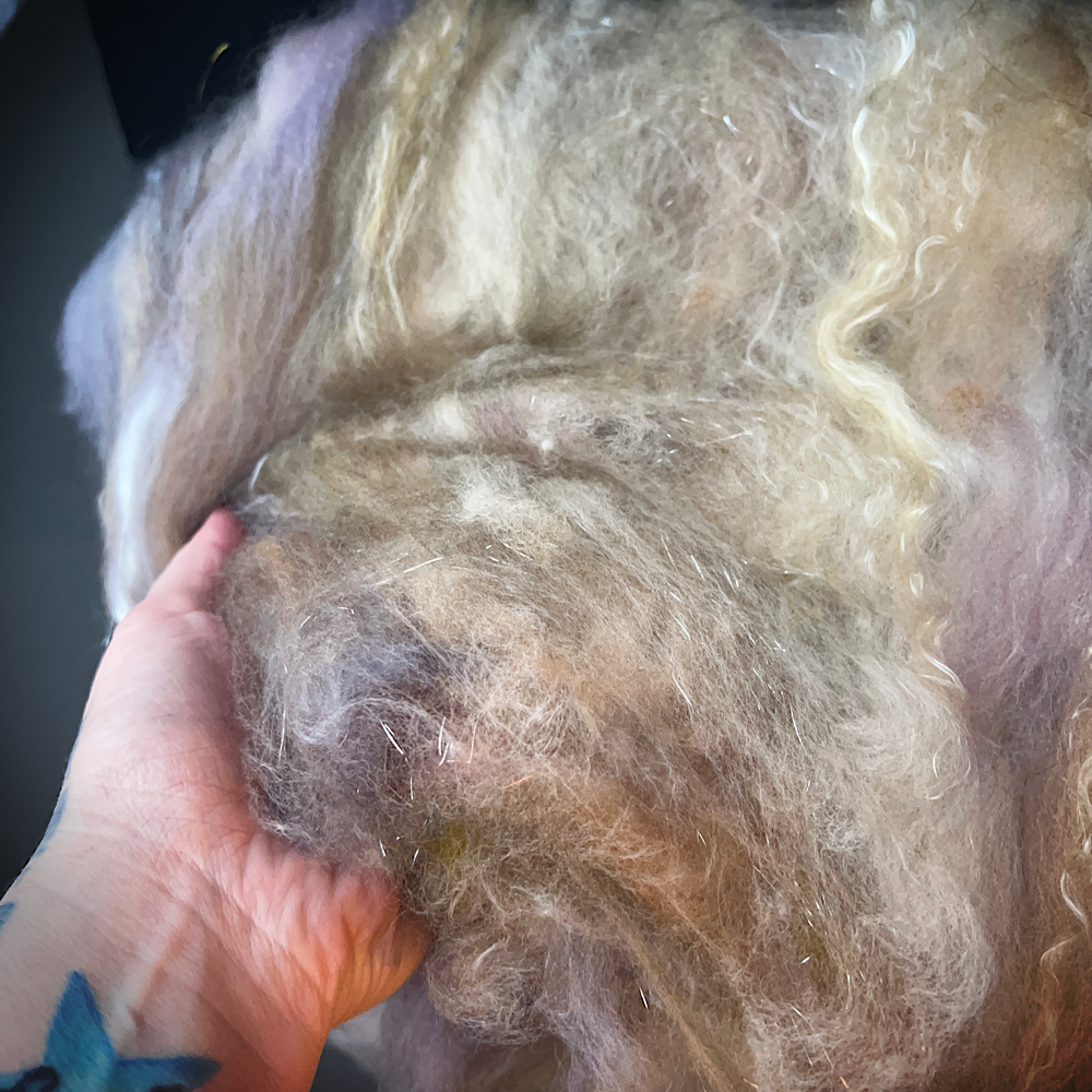 Batt for spinning yarn