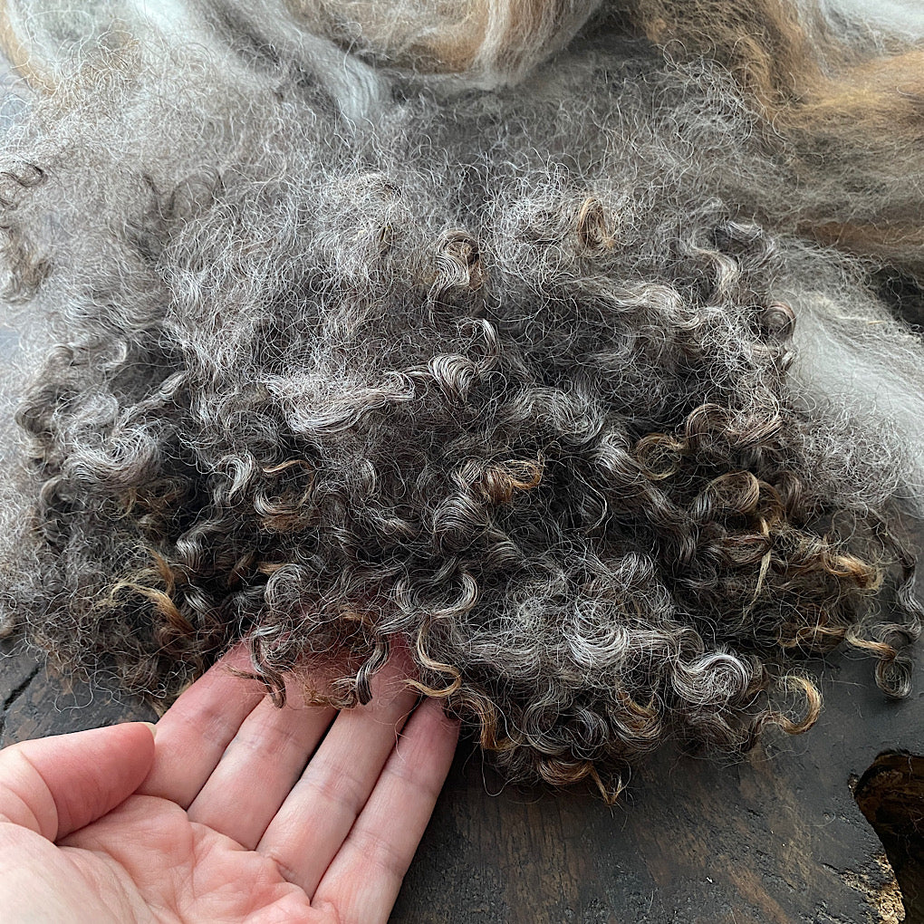 Spinning fiber kit natural colors