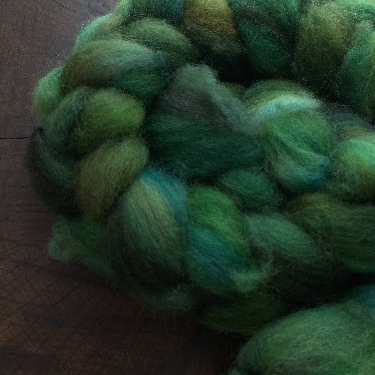 Hand painted BFL roving