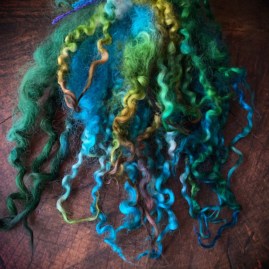 Wool locks for spinning and felting