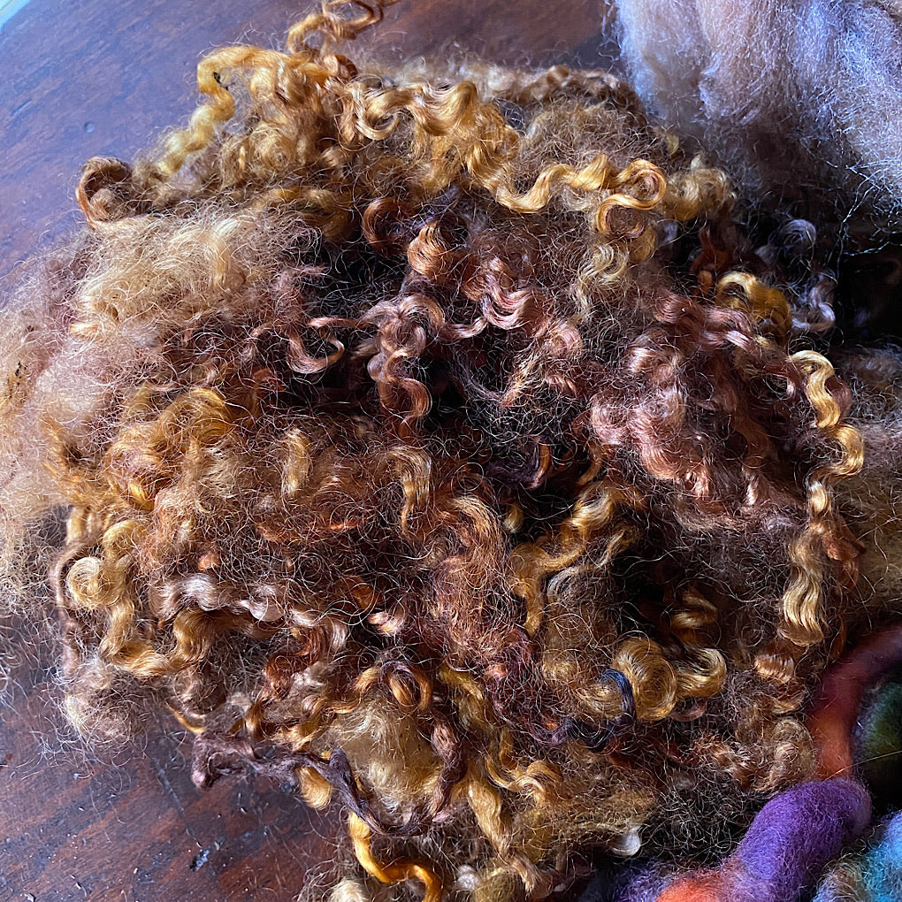 Gold Spinning kit Hand dyed roving