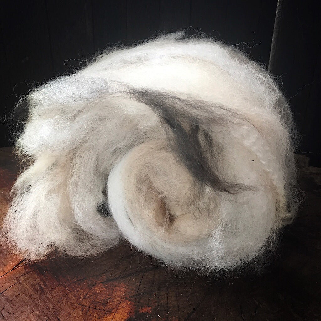 Alpaca wool batt for spinning