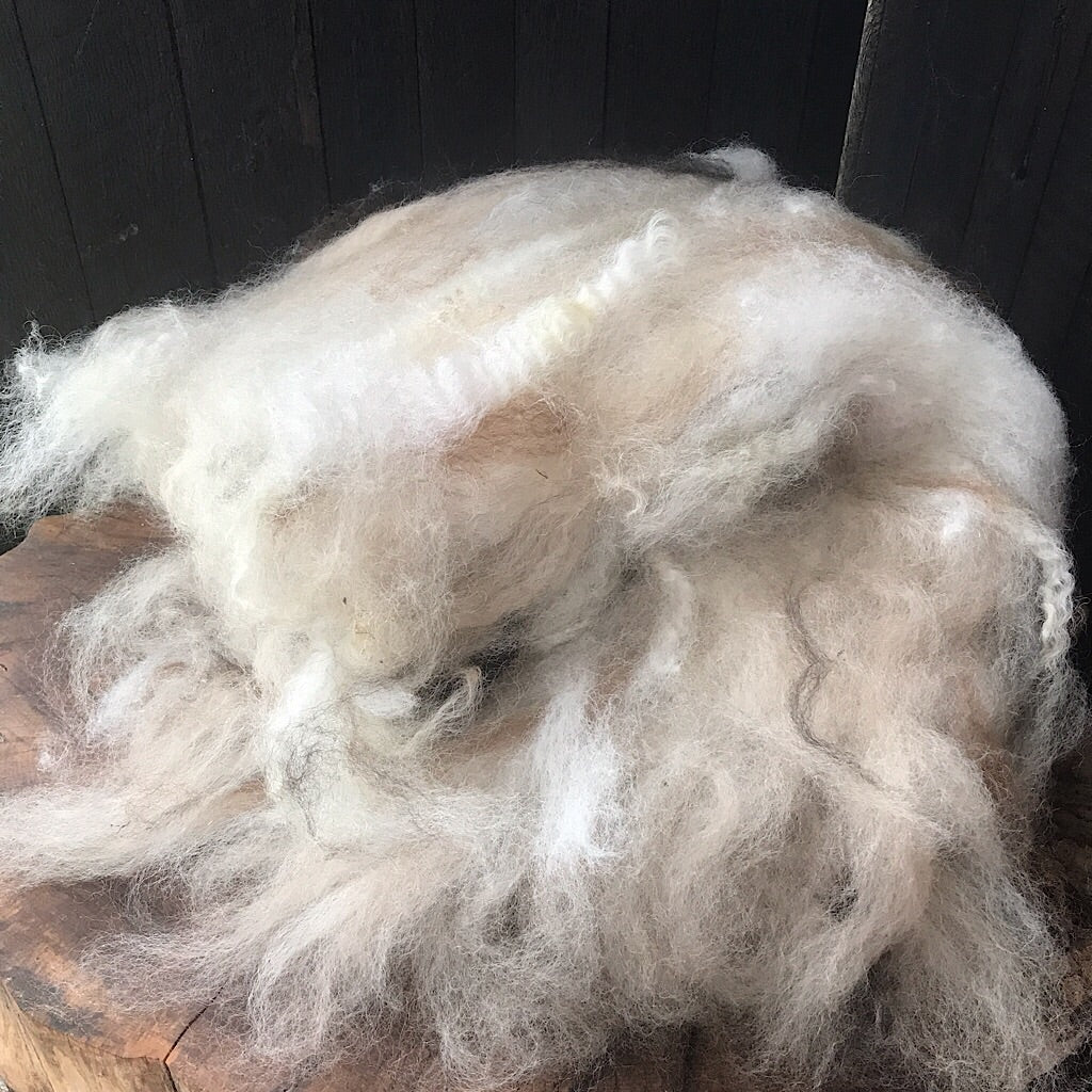 Alpaca wool batt for spinning