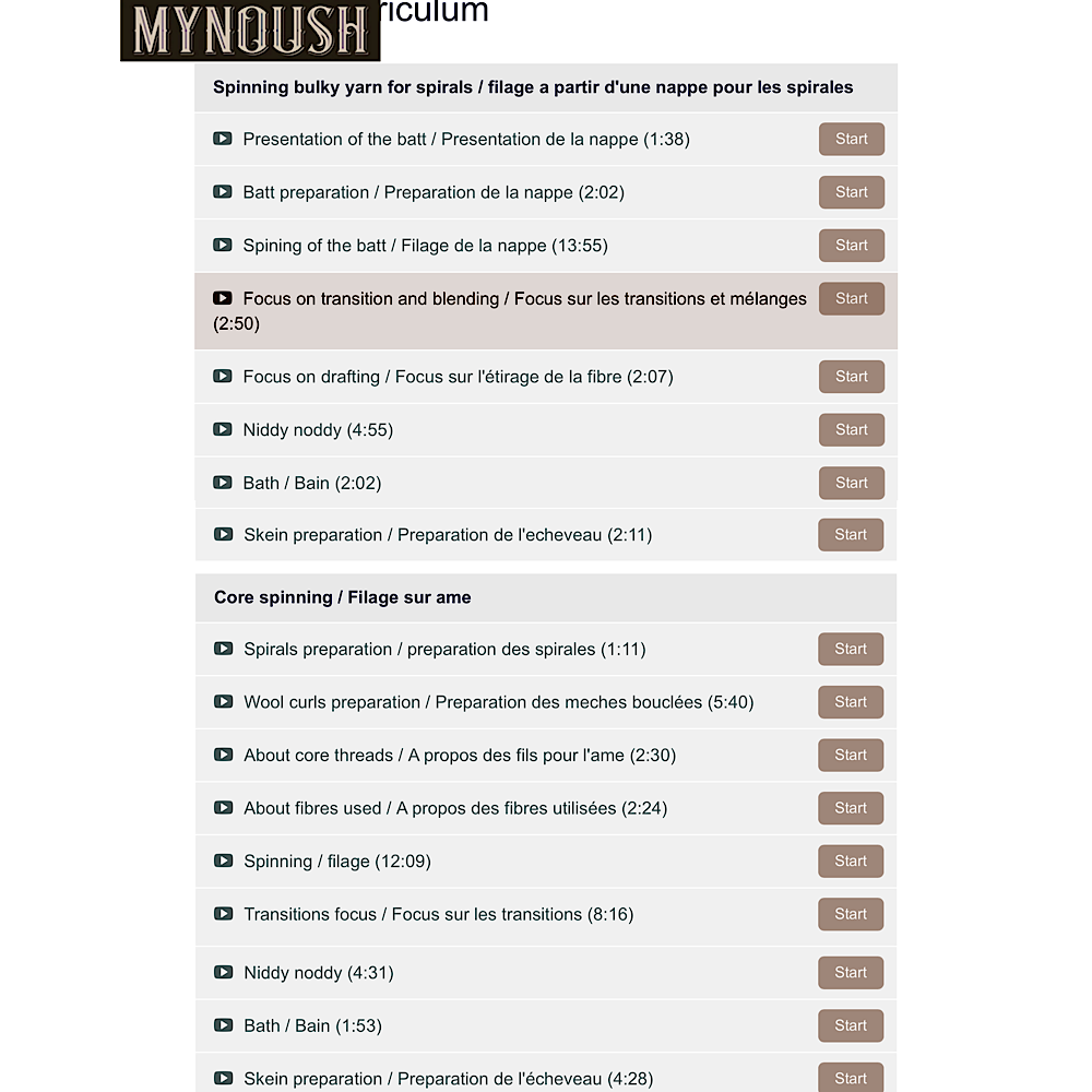 Mynoush Core spinning art yarn with locks and ribbons video tutorial