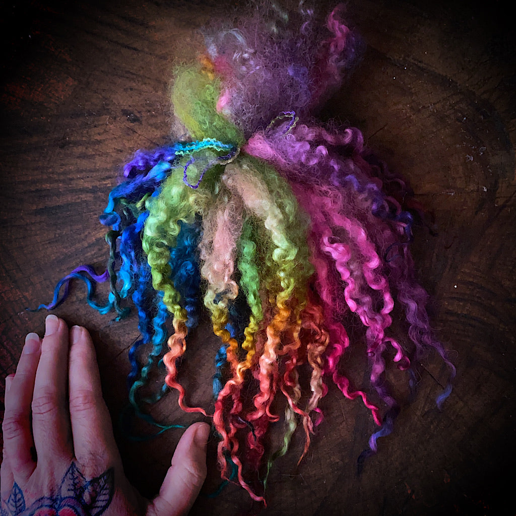 Wool locks for spinning and felting