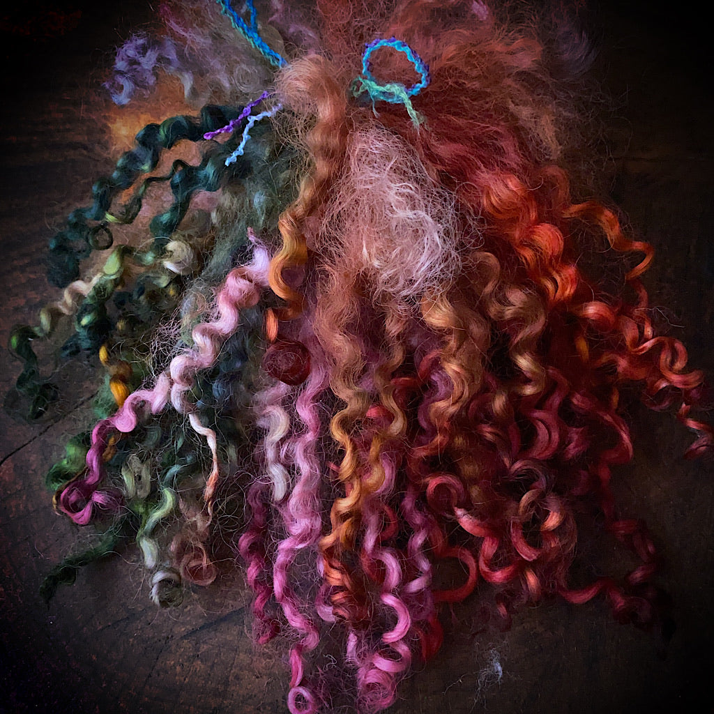 Wool locks for spinning and felting